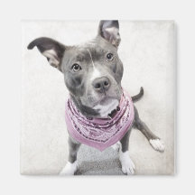 Rosa Bandana-Gruben-Magnet Kühlschrankmagnet