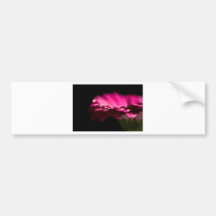 rosa Blume Autosticker
