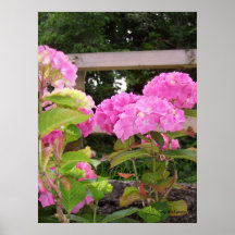 Rosa Blume Posterdrucke