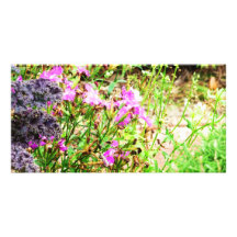 Rosa Blumen Individuelle Photo Karten