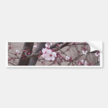 Rosa Blüten Auto Sticker