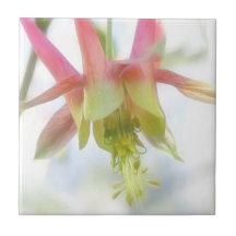 Rosa Columbine-Blume Keramikkachel