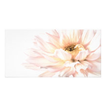Rosa Dahlie-Blume - Dahlien fertigten Schablone be Individuelle Photo Karte