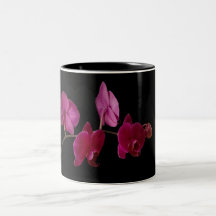 Rosa Dendrobium-Orchidee auf dem Schwarzen - beson Tee Haferl