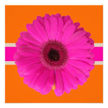 Rosa/diy Hintergrund PixDezines Gerbera,/Ereignis! Einladungen