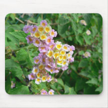 Rosa gelbe und weiße Blumen Mauspads