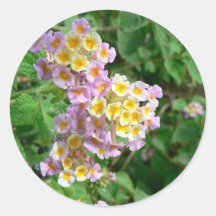 Rosa gelbe und weiße Blumen Sticker