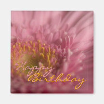 Rosa Gerbera • Alles- Gute zum Geburtstagmagnet