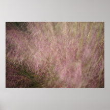 Rosa Gras Plakate