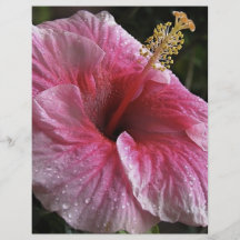 Rosa Hibiskus-Blume Flyer Druck