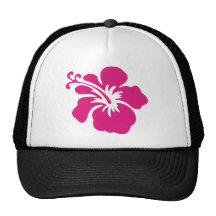 Rosa Hibiskus-Entwurf Kultcaps