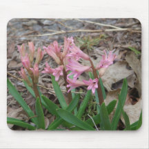 Rosa Hyazinthen Mousepads