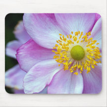 Rosa "japanische Anemone " Mauspad