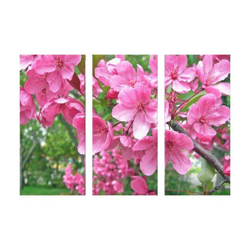Rosa Kirschblüten-Trio-Leinwand-Druck Leinwand Druck