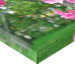 Ecke