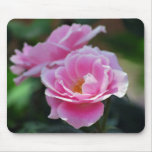 Rosa lacy Rose und Bedeutung Mousepads