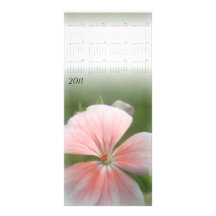 rosa Lesezeichen 2011 Karten Druck