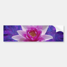 Rosa Lotos-Blume und -bedeutung Auto Aufkleber