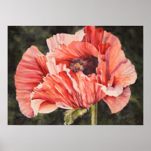 Rosa Mohnblume-botanischer Plakat-Leinwand-Druck