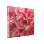 Rosa Mohnblumen-Blumenblätter Gespannter Galeriedruck