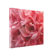 Rosa Mohnblumen-Blumenblätter Gespannter Galeriedruck