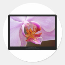 Rosa Orchidee der Blume 034 Runder Sticker