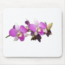 Rosa Orchideen Mousepad