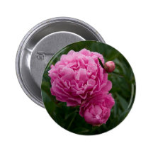 Rosa Pfingstrose | Rosa Pfingstrose Anstecknadel