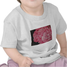 Rosa Pfingstrose Shirts
