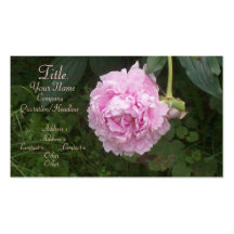 Rosa Pfingstrose Visitenkarte