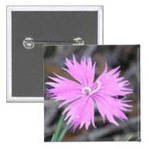 Rosa Porträt Anstecknadelbutton