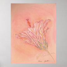 Rosa Posterdruck
