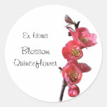 Rosa Quitten-Blumen-Buchzeichenaufkleber