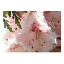 Rosa Rhododendron-Blume in der Zeder Visitenkarten