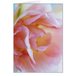 Rosa Rose für den Tag der Mutter - Karte