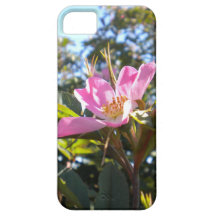Rosa Rose iPhone 5 Fall iPhone 5 Etuis