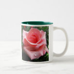 Rosa Rose mit Tau-Becher Tee Haferl