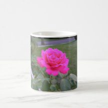 Rosa Rosen-Becher Teetasse