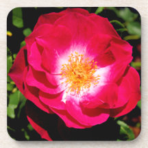 Rosa Rosen-Korken-Untersetzer