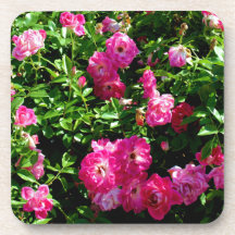 Rosa Rosen-Korken-Untersetzer
