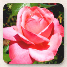 Rosa Rosen-Korken-Untersetzer