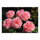 Rosa Rosenkarte