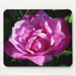 Rosa Rugosa Mousepad