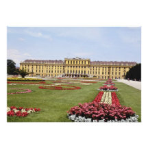 Rosa Schonbrunn Schloss, Blumen Wiens, Österreich Personalisierte Einladung