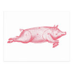 Rosa Schwein-Postkarte