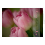 Rosa Tulpen • Glückliche Karte der Mutter Tages