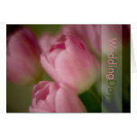 Rosa Tulpen • Hochzeits-Glückwunsch-Karte