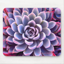 Rosa u. lila saftiges Mousepad