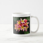Rosa und gelbe Plumeria-Blumen Teetasse