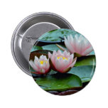 Rosa Wasser-Lilien-Blumen Button
